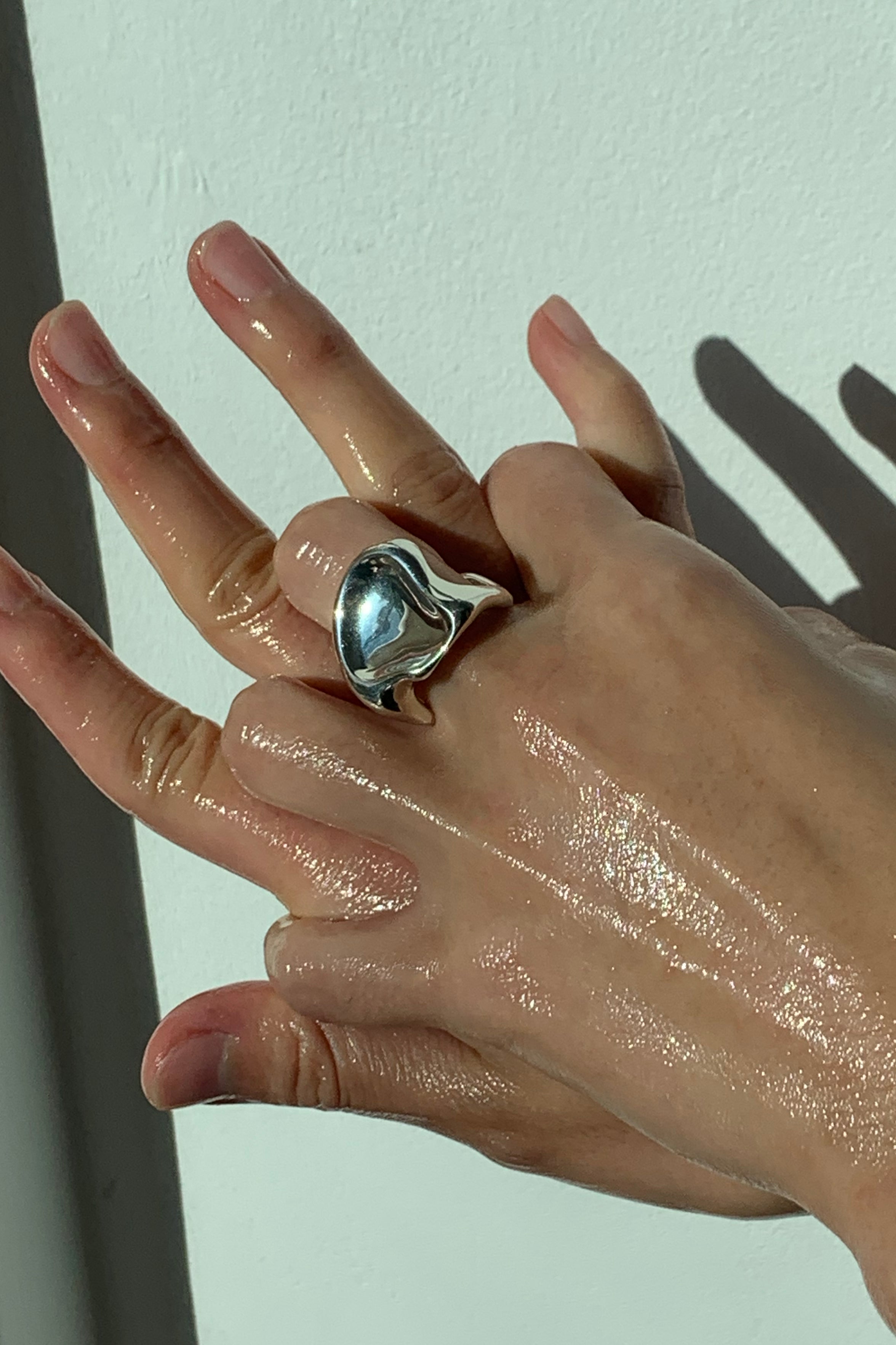 ANELLO A PEZZI PER BACINO